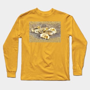 Goslings-1 Long Sleeve T-Shirt